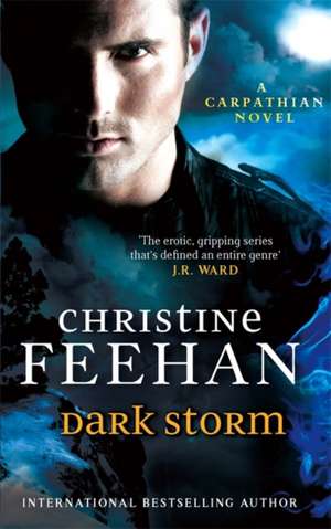 Dark Storm de Christine Feehan