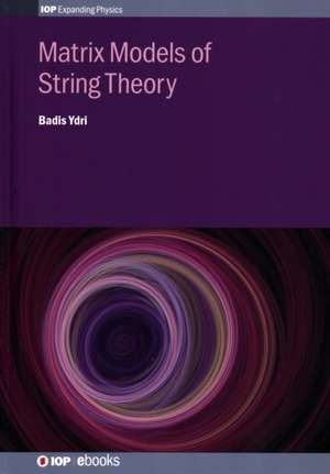 Matrix Models of String Theory de Badis Ydri