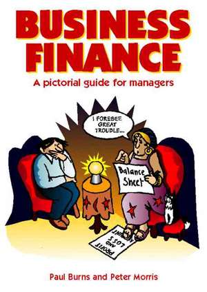 Business Finance: A Pictorial Guide for Managers de Paul Burns