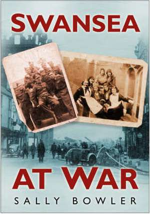 Swansea at War de Sally Bowler