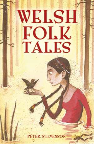 Welsh Folk Tales de Peter Stevenson