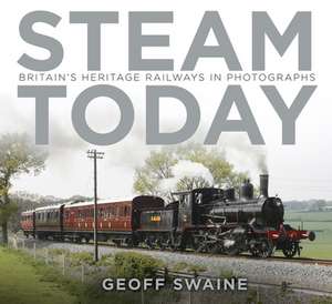 Steam Today de Geoff Swaine