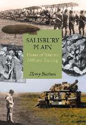 Salisbury Plain de Henry Buckton