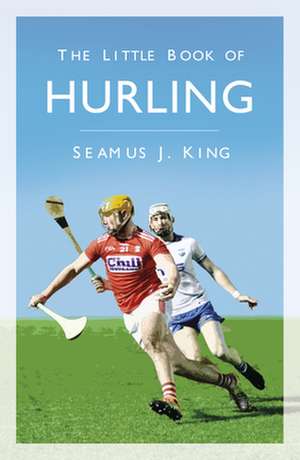 The Little Book of Hurling de Seamus King