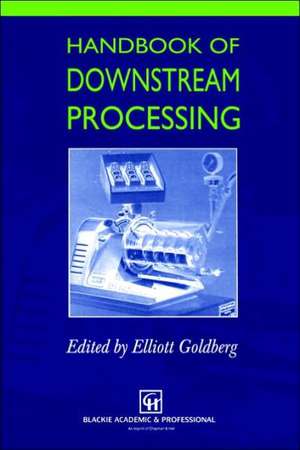 Handbook of Downstream Processing de E. Goldberg