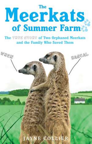 The Meerkats of Summer Farm de Jayne Collier