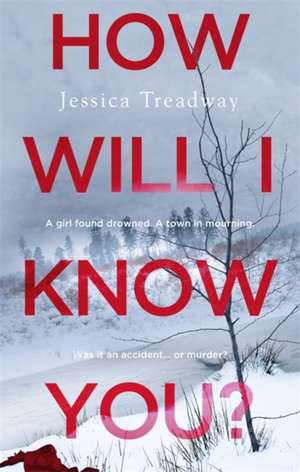 Treadway, J: How Will I Know You? de Jessica Treadway