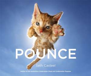 Casteel, S: Pounce de Seth Casteel