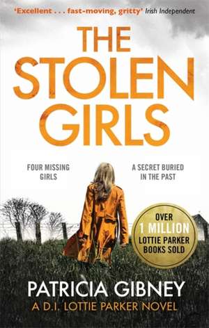 Gibney, P: Stolen Girls de Patricia Gibney