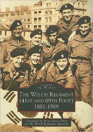 The Welch Regiment (41st and 69th Foot) 1881-1969 de Bryn Owen