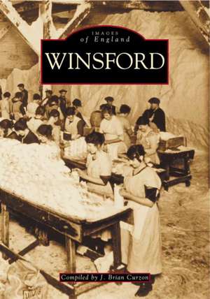 Winsford de Brian Curzon
