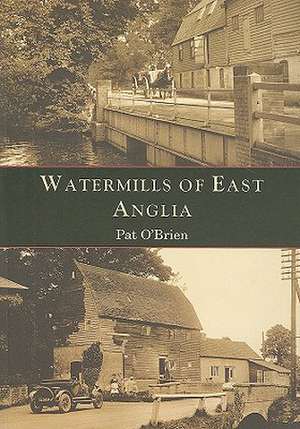 Watermills of East Anglia: A Critical Introduction de Pat O'Brien