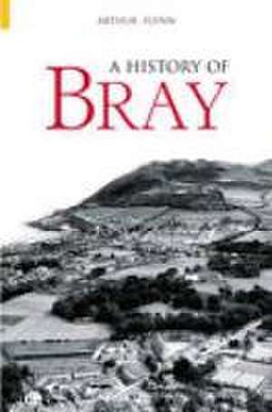 Bray, A History of de Arthur Flynn