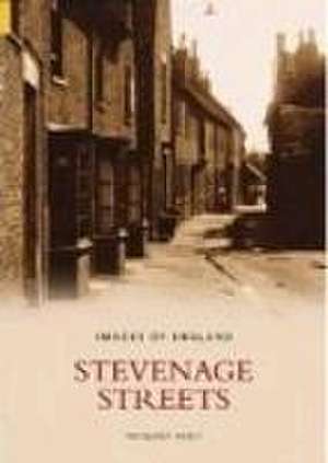 Ashby, M: Stevenage Streets de Margaret Ashby