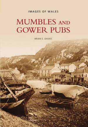 Mumbles and Gower Pubs de Brian Davies