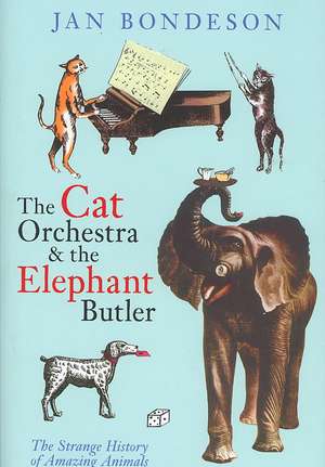 Cat Orchestra and the Elephant Butler de Jan Bondeson