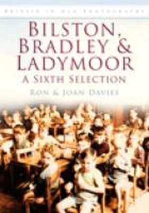 Bilston, Bradley and Ladymoor de Ron Davies