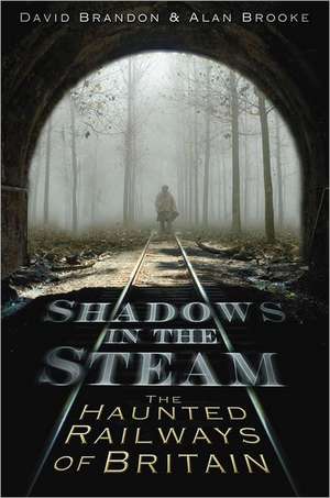 Shadows in the Steam de David Brandon