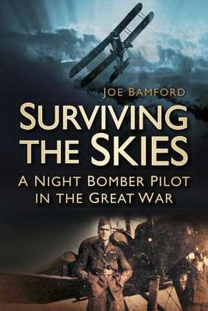 Surviving the Skies de Joe Bamford