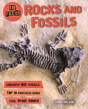 Oxlade, C: In Focus: Rocks and Fossils