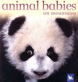 Animal Babies on Mountains de Kingfisher Books