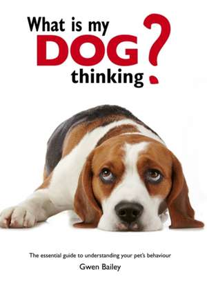 What is My Dog Thinking? de Gwen Bailey