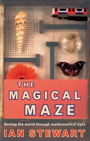 Science Masters: The Magical Maze de Ian Stewart