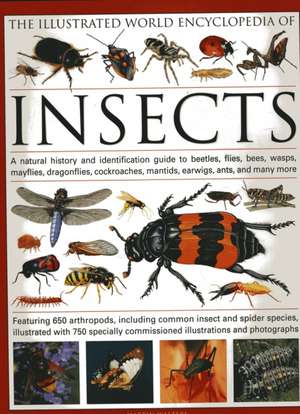 The Illustrated World Encyclopedia of Insects: A Natural History and Identification Guide to Beetles, Flies, Bees, Wasps, Mayflies, Dragonflies, Cockr de Martin Walters