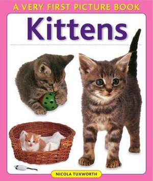 Kittens de Nicola Tuxworth