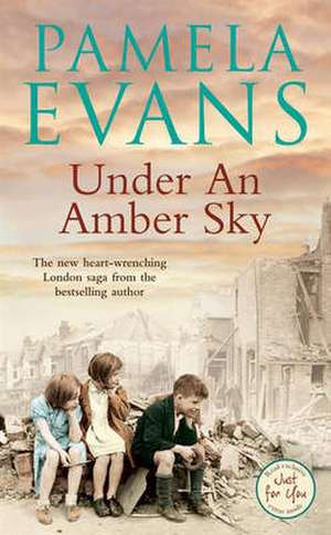 Evans, P: Under an Amber Sky de Pamela Evans