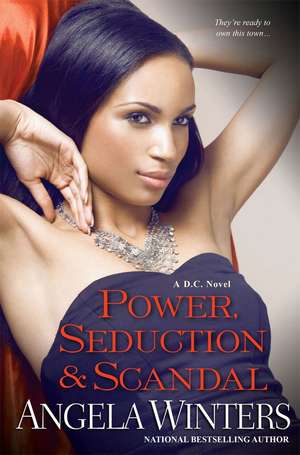 Power, Seduction & Scandal: The D.C. Series de Angela Winters