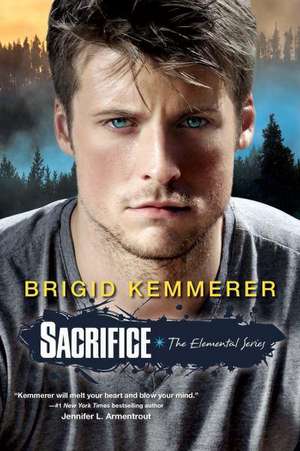 Sacrifice de Brigid Kemmerer