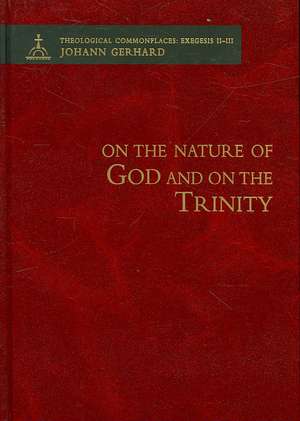 On the Nature of God and on the Most Holy Mystery of the Trinity de Johann Gerhard