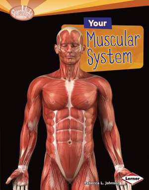 Your Muscular System de Rebecca L. Johnson