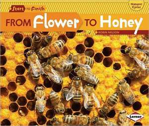 From Flower to Honey de Robin Nelson