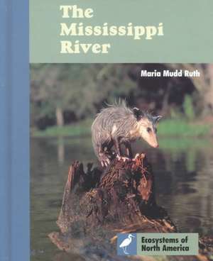 The Mississippi River de Maria Mudd-Ruth