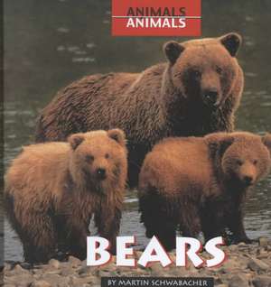 Bears de Martin Schwabacher