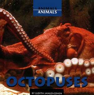 Octopuses de Judith Jango-Cohen