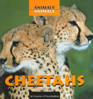 Cheetahs de Diana Estigarribia