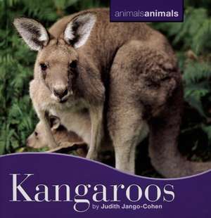 Kangaroos de Judith Jango-Cohen