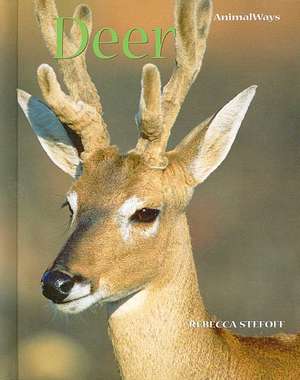 Deer de Rebecca Stefoff