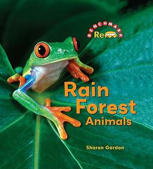 Rain Forest Animals de Sharon Gordon