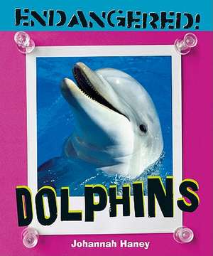 Dolphins de Johannah Haney