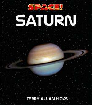 Saturn de Terry Allan Hicks