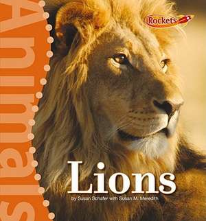 Lions de Susan Schafer