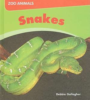 Snakes de Debbie Gallagher