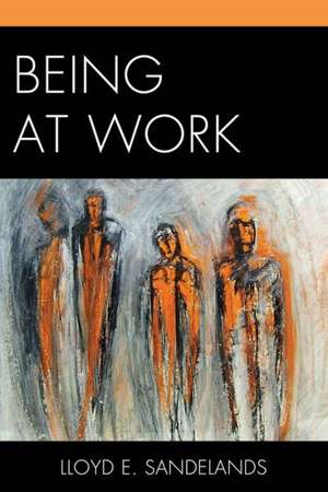 Being at Work de Lloyd E. Sandelands