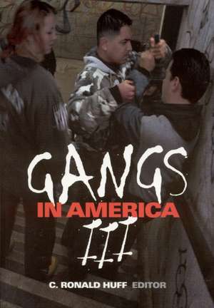 Gangs in America III de C. Ronald Huff