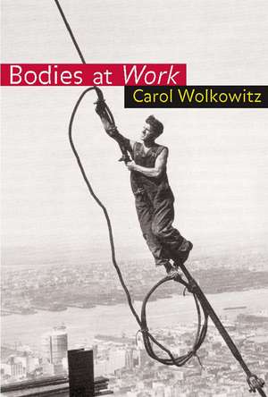 Bodies at Work de Carol Wolkowitz