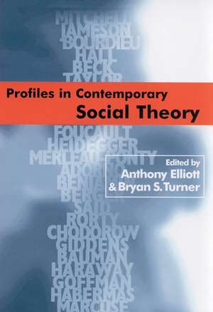 Profiles in Contemporary Social Theory de Anthony Elliott